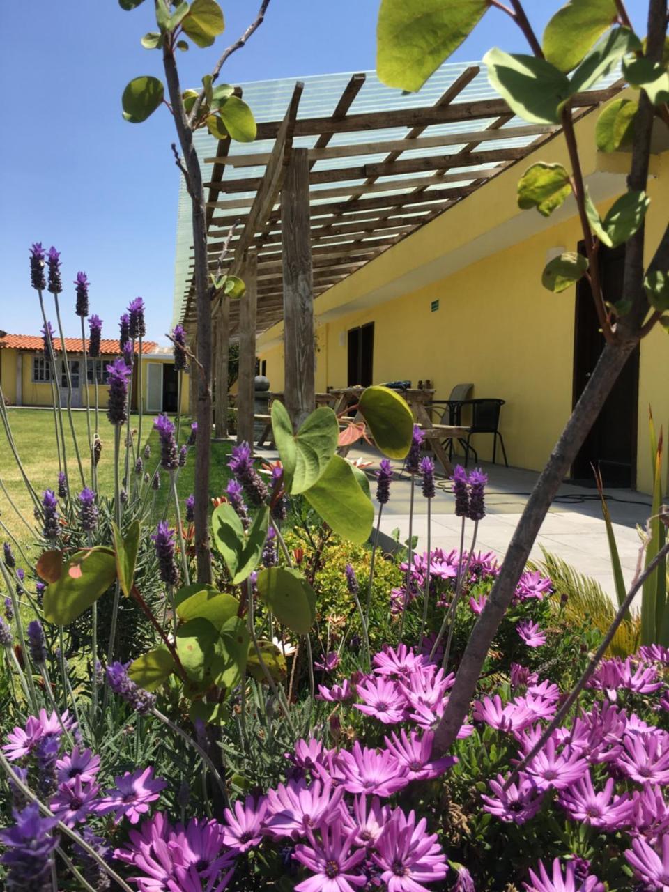Hotel Quinta San Antonio Nopalucan de la Granja ภายนอก รูปภาพ