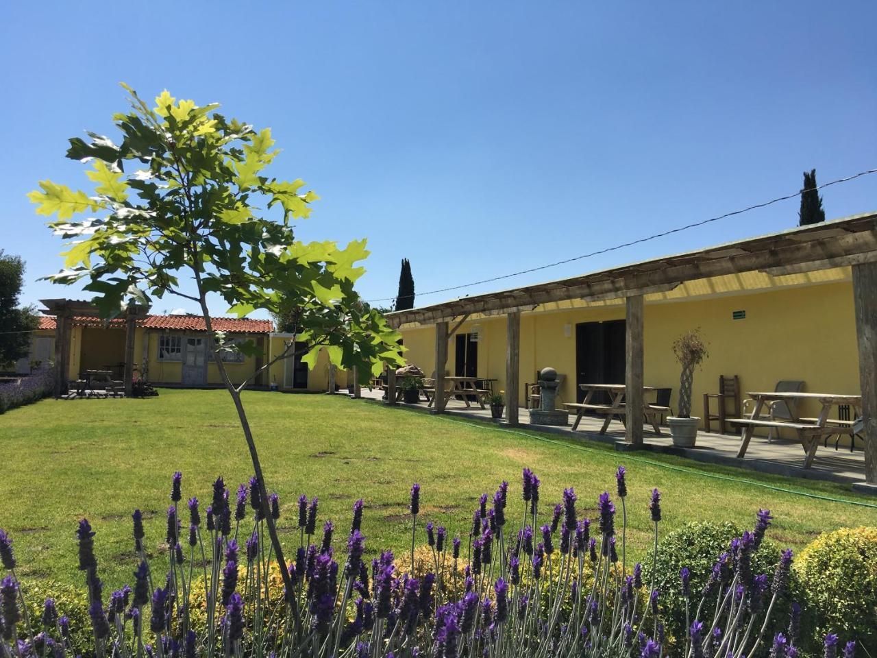 Hotel Quinta San Antonio Nopalucan de la Granja ภายนอก รูปภาพ